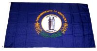Fahne / Flagge USA - Kentucky 90 x 150 cm