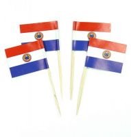 50 Minifahnen Dekopicker Paraguay 30 x 40 mm