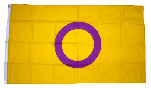 Fahne Intersex blau-pink Flagge Intersexualität Hissflagge 90x150cm 