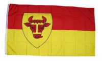 Flagge / Fahne Coesfeld Hissflagge 90 x 150 cm