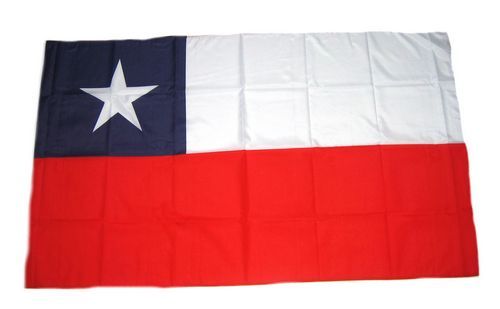 Fahne / Flagge Chile 30 x 45 cm