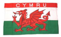 Flagge Fahne Wales CYMRU 30 x 45 cm