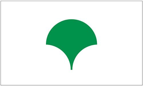 Fahne / Flagge Japan - Metropolregion Tokio 90 x 150 cm