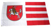 Flagge / Fahne Dithmarschen Hissflagge 90 x 150 cm