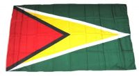 Fahne / Flagge Guyana 30 x 45 cm