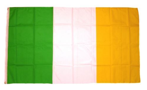 Flagge Fahne Irland Leinster Hissflagge 90 x 150 cm 