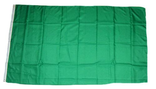 Fahne Flagge Grün 60 x 90 cm 