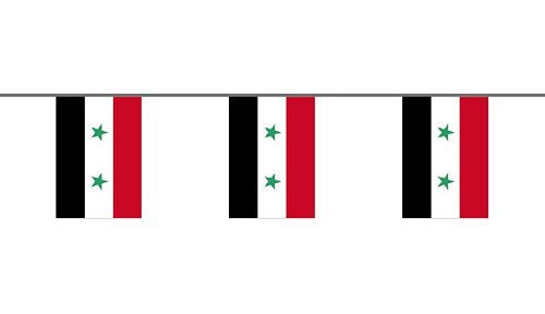 Flaggenkette Syrien 6 m