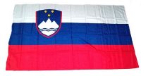 Fahne / Flagge Slowenien 30 x 45 cm