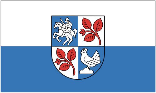 Fahne Flagge Landkreis Hildburghausen 90 x 150 cm 