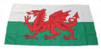 Flagge Fahne Wales 30 x 45 cm