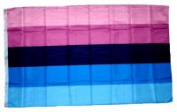 Fahne / Flagge Omnisexuell Pride 90 x 150 cm