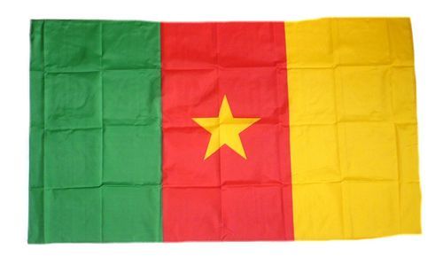 Fahne / Flagge Kamerun 30 x 45 cm