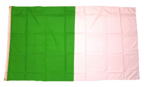 Fahne / Flagge Irland - Limerick 90 x 150 cm