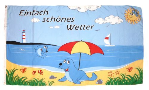 Fahne Flagge Wetterfrosch Frosch Wetter Sonne 90x150 cm Hissfahne mit Ösen TOP 