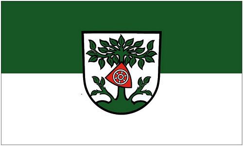Flagge / Fahne Buchen Odenwald Hissflagge 90 x 150 cm