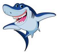 Aufkleber Sticker Hai Shark