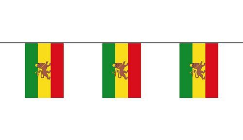 Flaggenkette Äthiopien Löwe 6 m