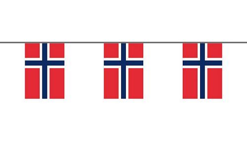 Flaggenkette Norwegen 6 m