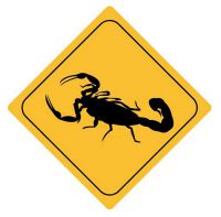 Aufkleber Sticker Achtung Skorpion Autoaufkleber