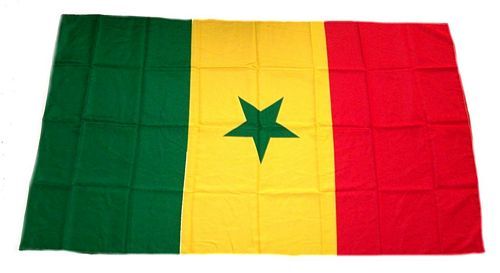Fahne / Flagge Senegal 30 x 45 cm